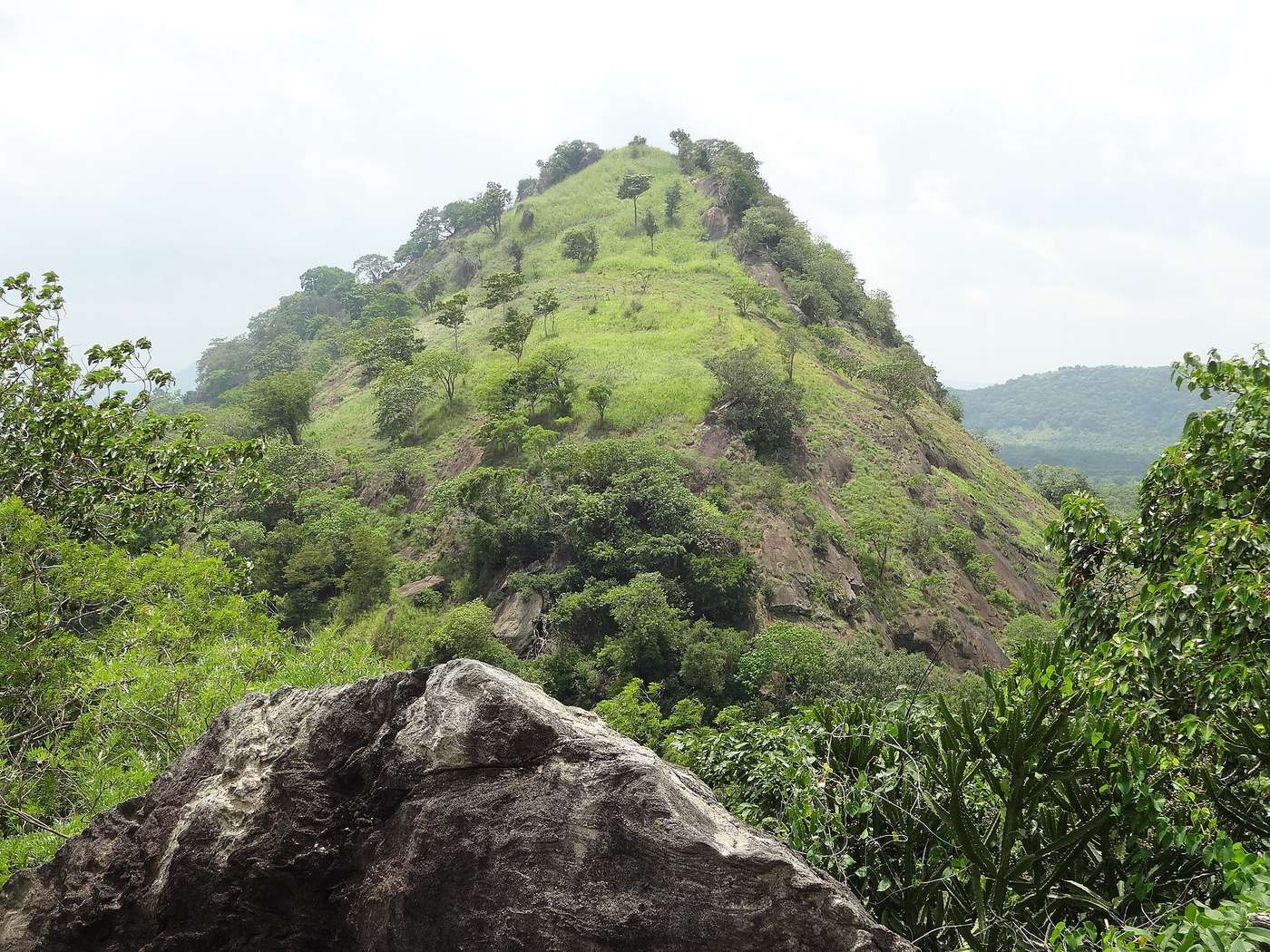 View over the surrounding countryside from Dambulla cave temple