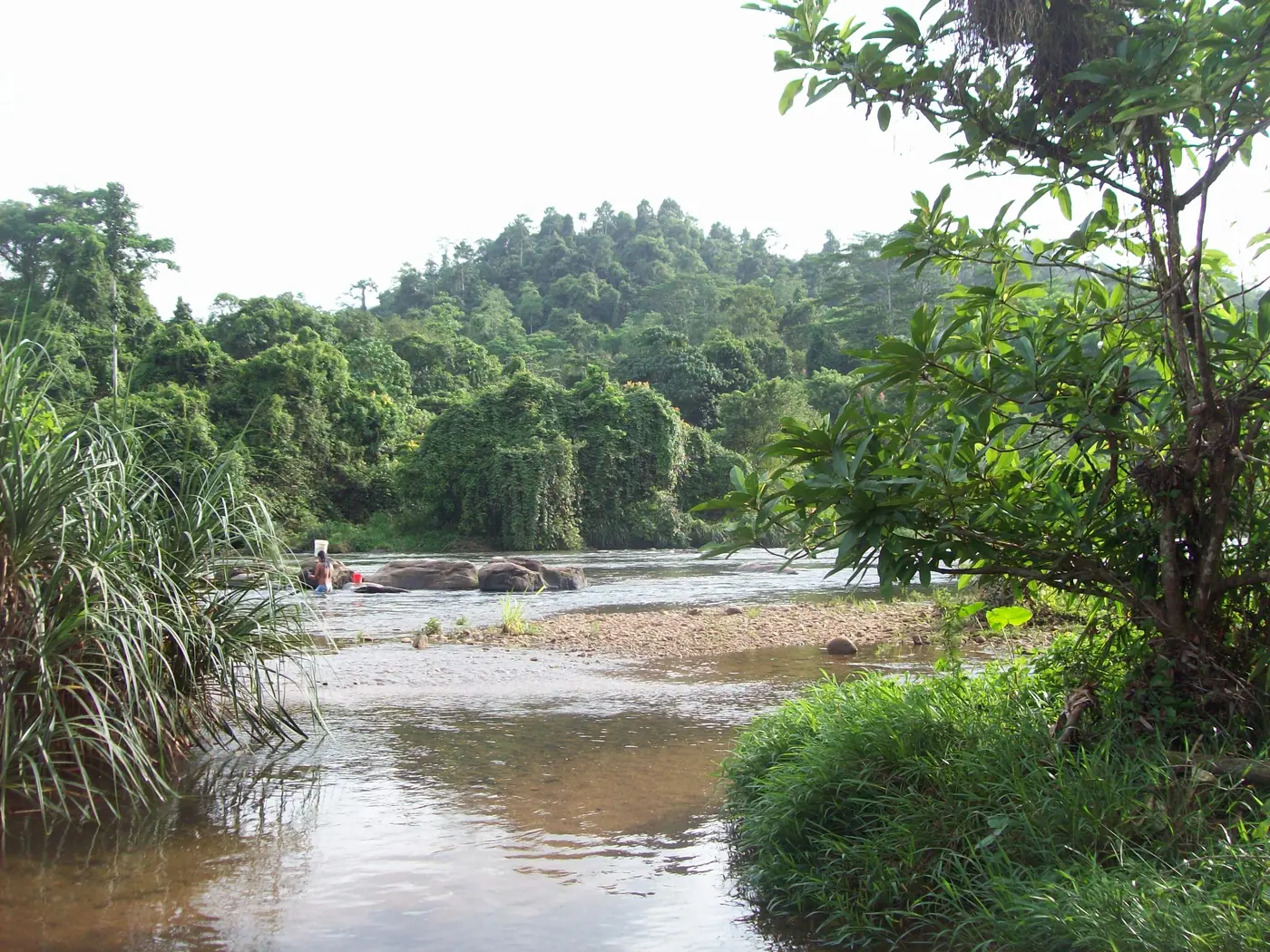The Kelani River near the Kitulgala Rest House, Sri Lanka