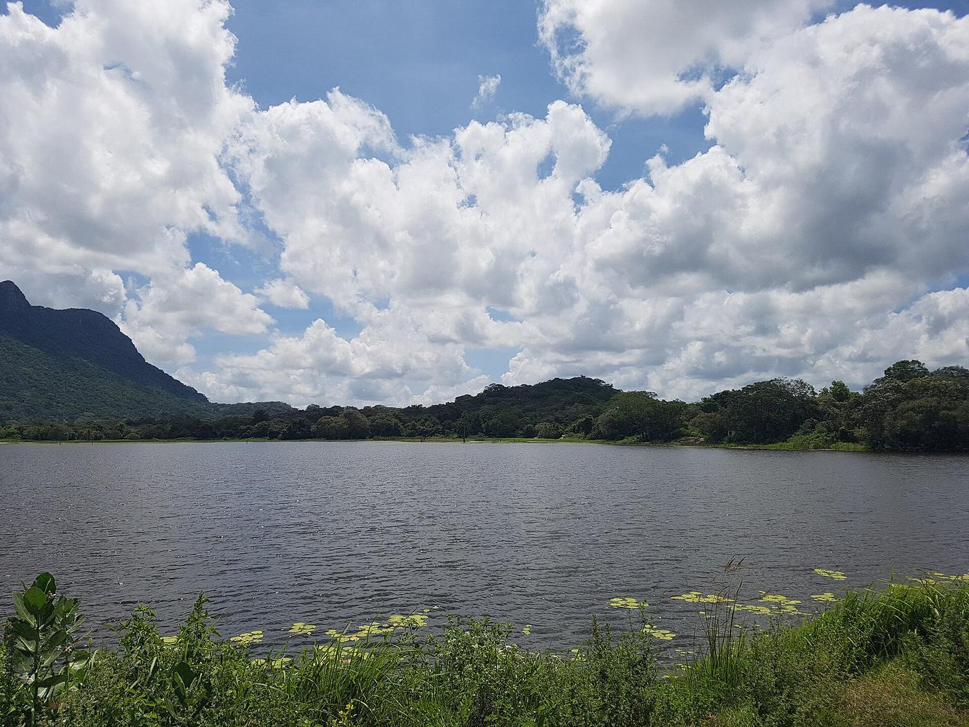 Parakrama Samudra, the vast reservoir that once irrigated the medieval capital