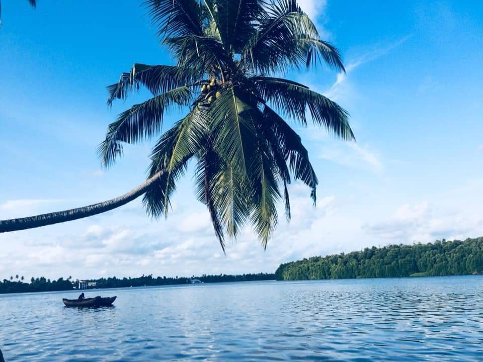 Palm tree overhanging a calm coastal lagoon with a fishing boat